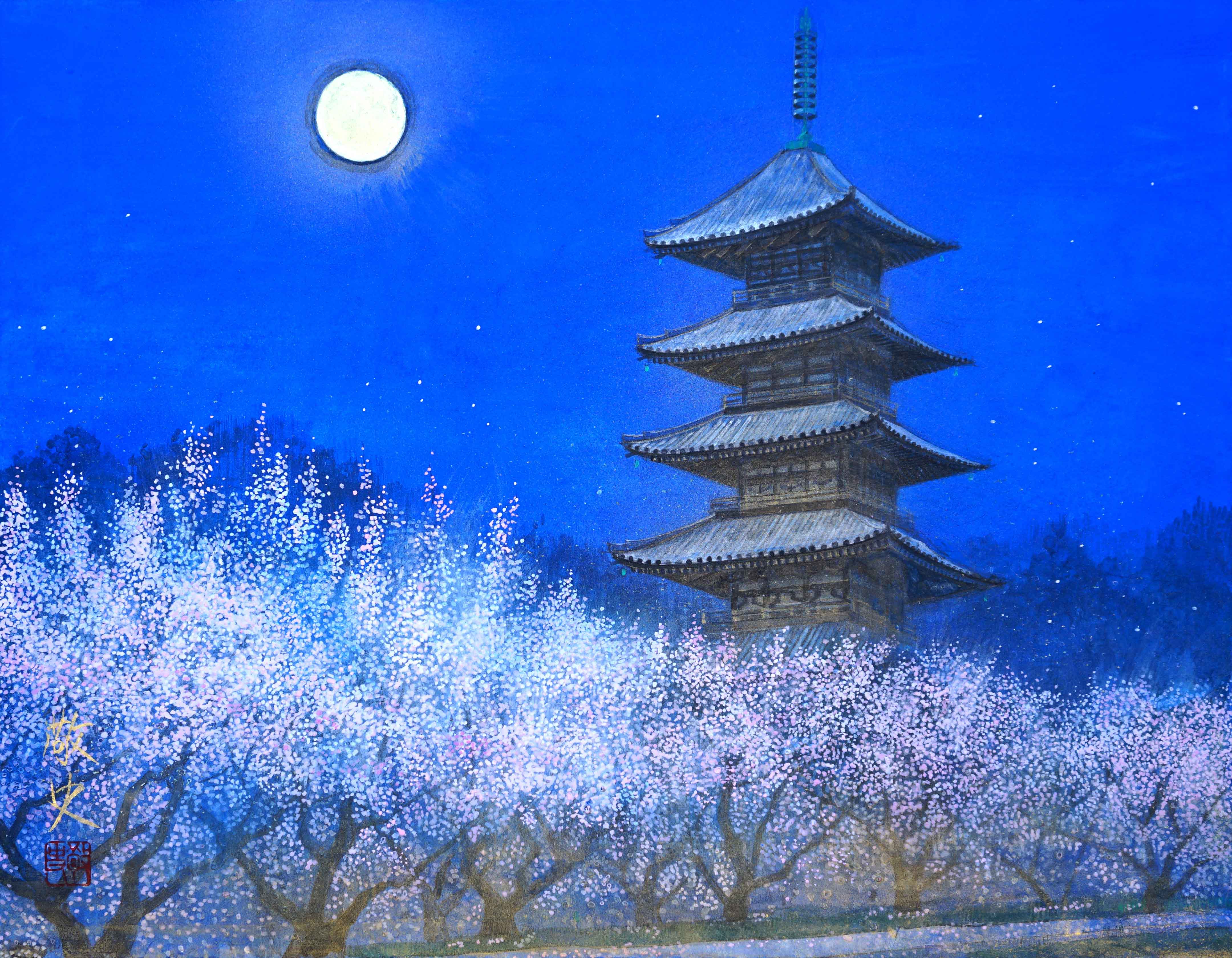 桜井F6 絢爛の夜(仁和寺)