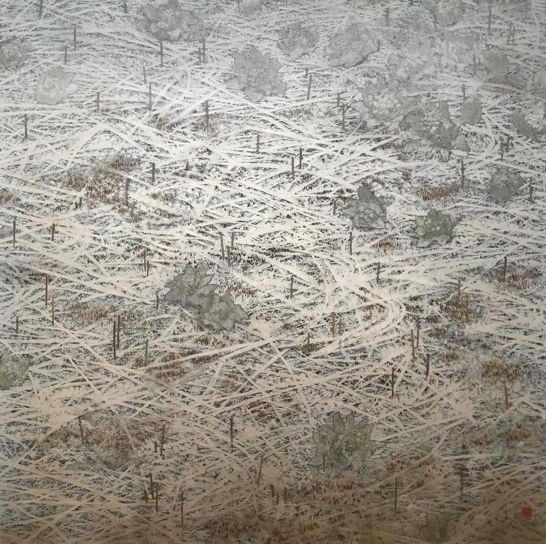 S40 薄雪