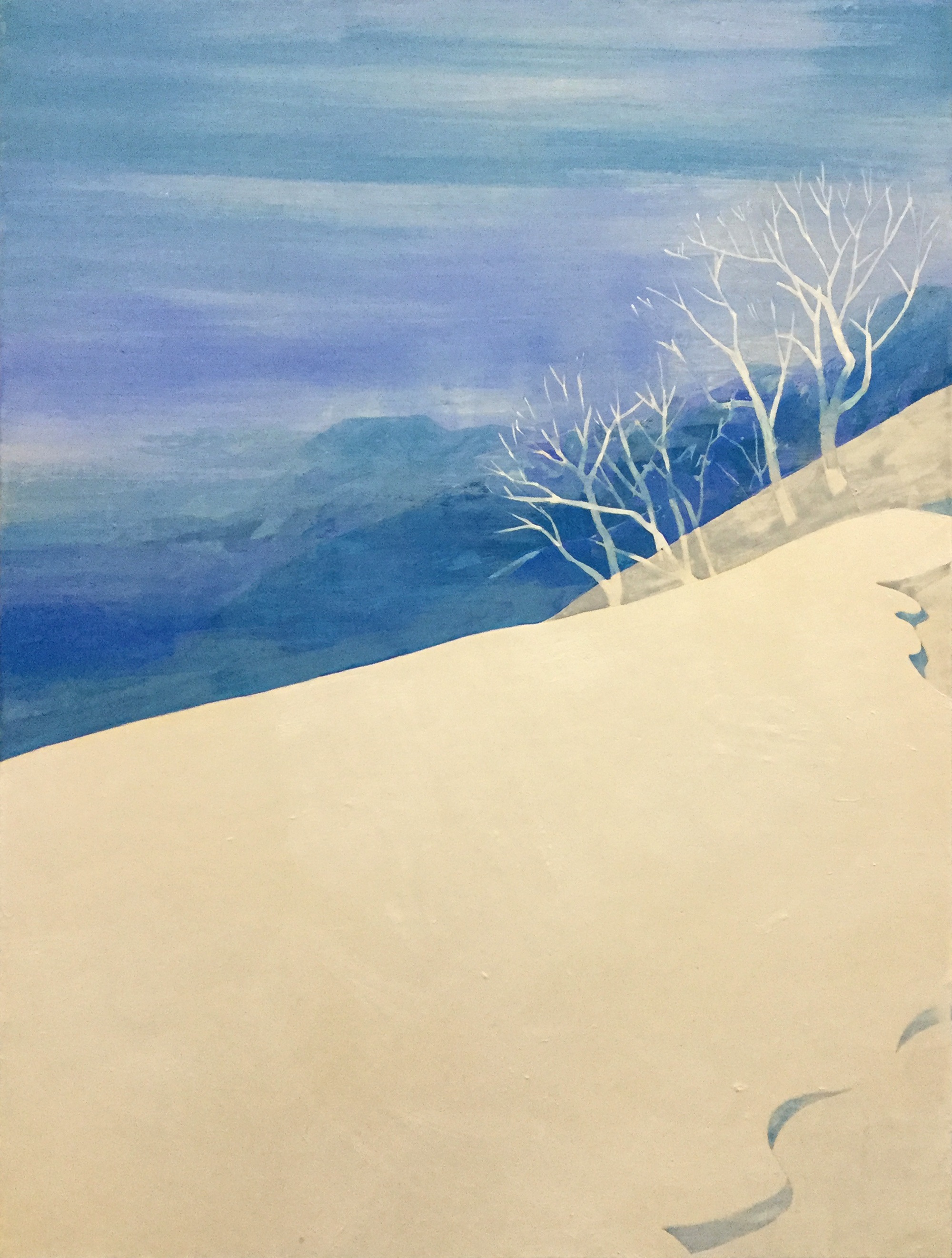 P15  Snow ridge
